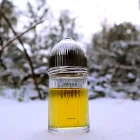دکانت عطر کارتیر پاشا د کارتیر پرفیوم | Cartier Pasha de Cartier Parfum - تصویر 2