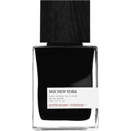 دکانت عطر مین نیویورک استرونومی دومین | MiN New York Astronomy Domine