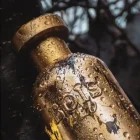دکانت عطر بویس ۱۹۲۰ کوم لا لونا | BOIS 1920 Come la Luna - تصویر 3