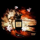 دکانت عطر تام فورد امبر ابسولوت | TOM FORD Amber Absolute - تصویر 2