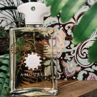 دکانت عطر آمواج براکن مردانه | Amouage Bracken Man - تصویر 4