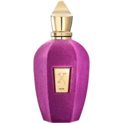 دکانت عطر زرجوف میوز | XERJOFF Muse