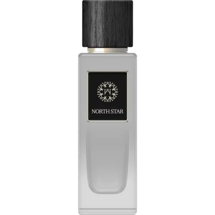 دکانت عطر د وودز کالکشن نورث استار | The Woods Collection North Star