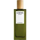 دکانت عطر لوئوه اسنسیا پور هوم | LOEWE Esencia Pour Homme