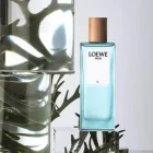 دکانت عطر آگوا د لووه ال | LOEWE Agua de Loewe El - تصویر 2