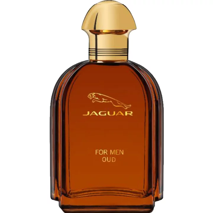 ۱۴۵۸۴۷_img-7180-jaguar-jaguar-for-men-oud_720 عطر ادکلن جگوار عود مردانه | Jaguar For Men Oud - تصویر 1