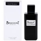 عطر ادکلن برکورت اسپیریت ماندین | Brecourt Esprit Mondain - تصویر 2