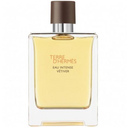 عطر ادکلن هرمس تق هرمس او اینتنس وتیور | Hermes Terre D’Hermes Eau Intense Vetiver