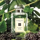 تستر عطر ادکلن جو مالون Jo Malone Blackberry Bay berries - تصویر 3